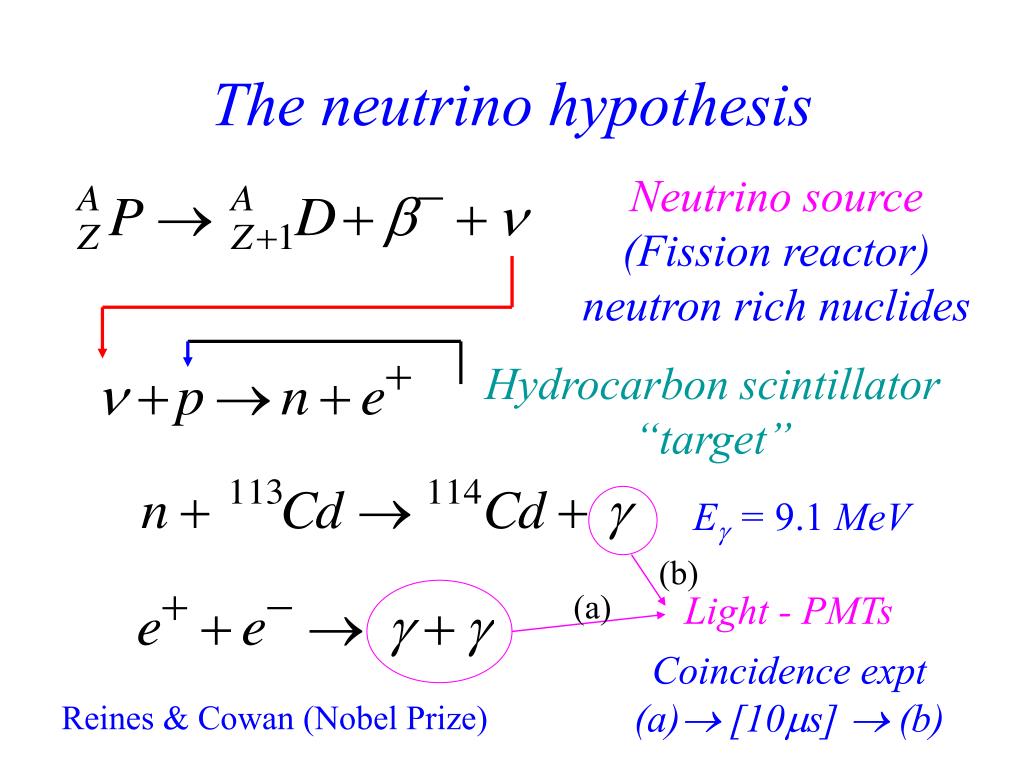 neutrino hypothesis notes