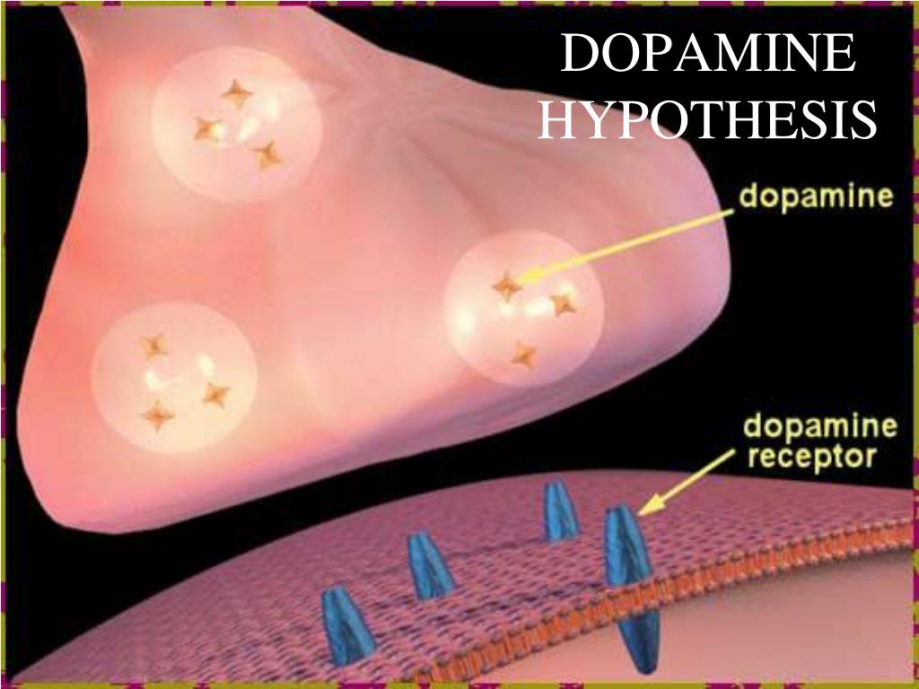 dopamine hypothesis medical meaning