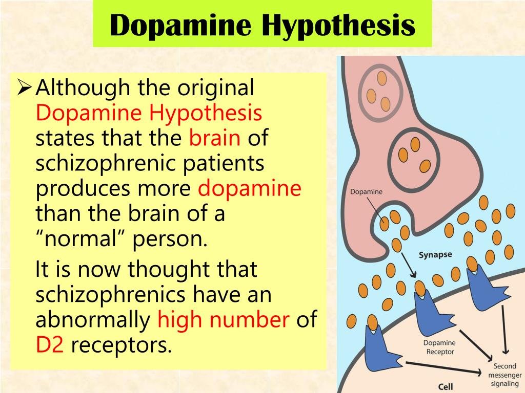 dopamine hypothesis psychology example