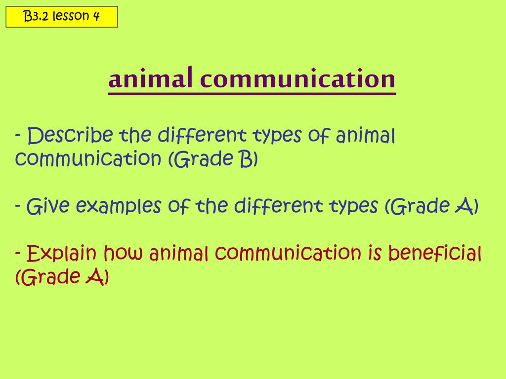 types of animal communication essay