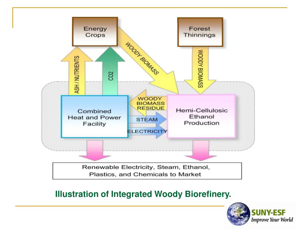 PPT - The Biorefinery in New York: Woody Biomass into Commercial ...