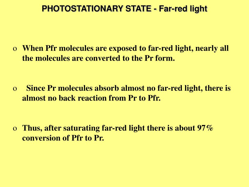 phytochrome full notes ppt phytochrome full notes ppt