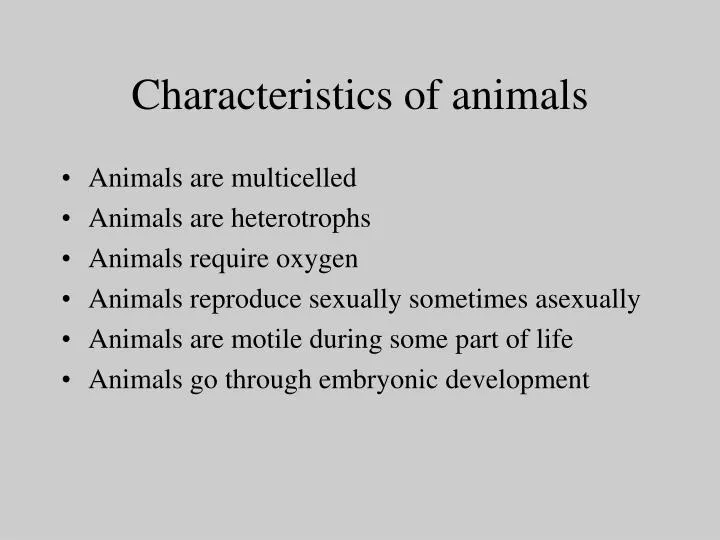 PPT - Characteristics of animals PowerPoint Presentation, free download