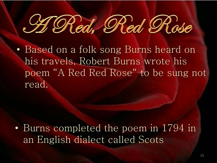 PPT A Red, Red Rose PowerPoint Presentation ID3128157