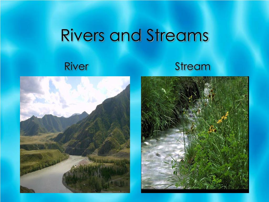 Ppt Water Ecosystems Powerpoint Presentation Free Download Id3128771
