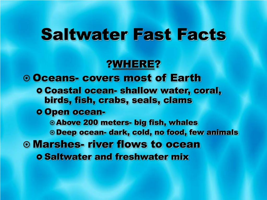 PPT WATER ECOSYSTEMS PowerPoint Presentation Free Download ID 3128771