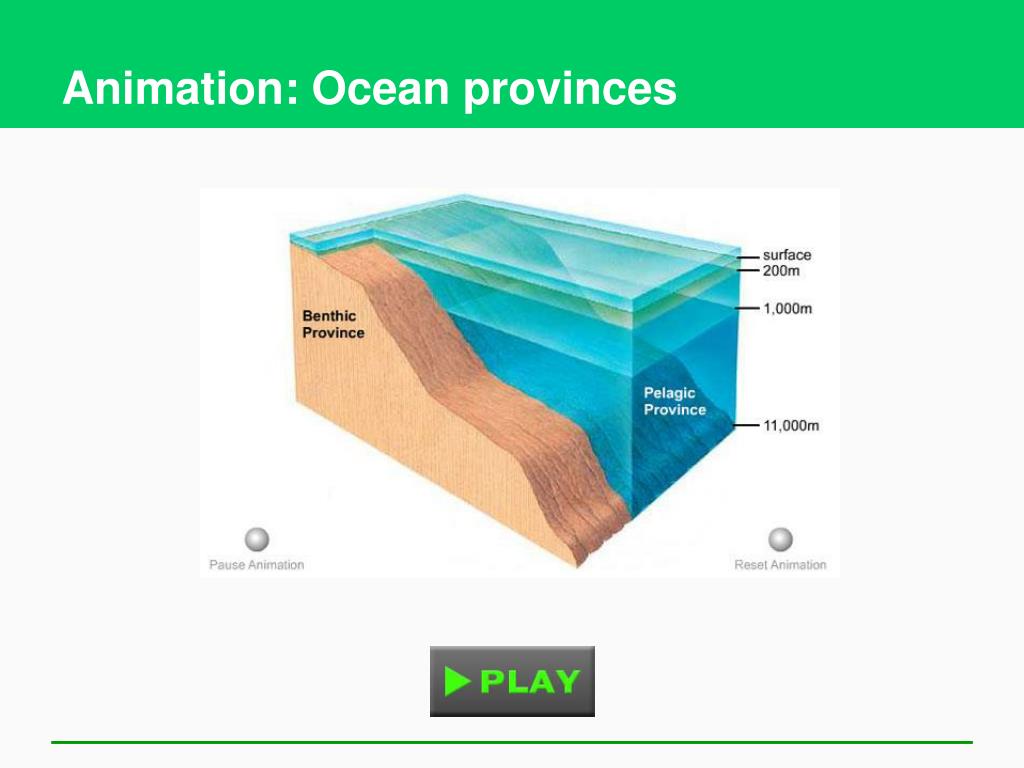 PPT - Aquatic Biodiversity PowerPoint Presentation, free download - ID:3128787 PPT - Aquatic Biodiversity PowerPoint Presentation, free download - ID:3128787