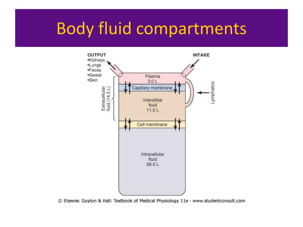 electrolyte composition of body fluid compartments