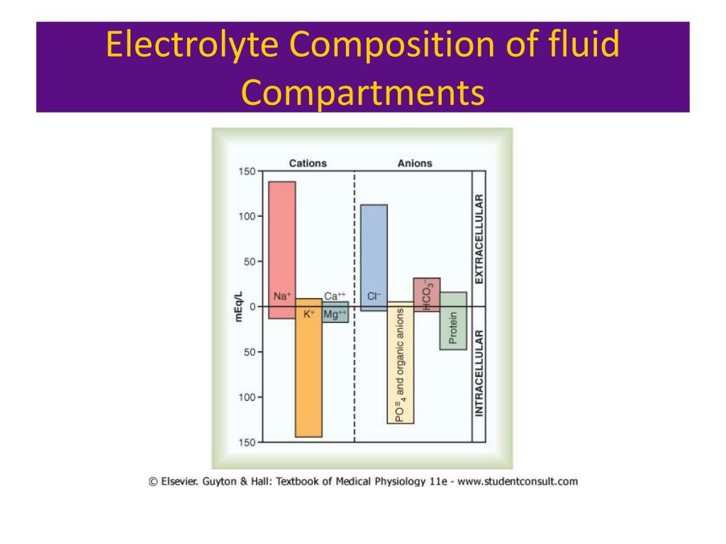 electrolyte composition of body fluid compartments electrolyte composition of body fluid compartments