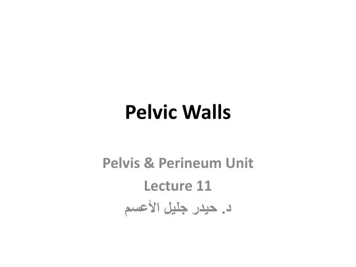 pelvic walls n.