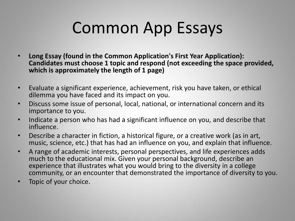 common app essay on business