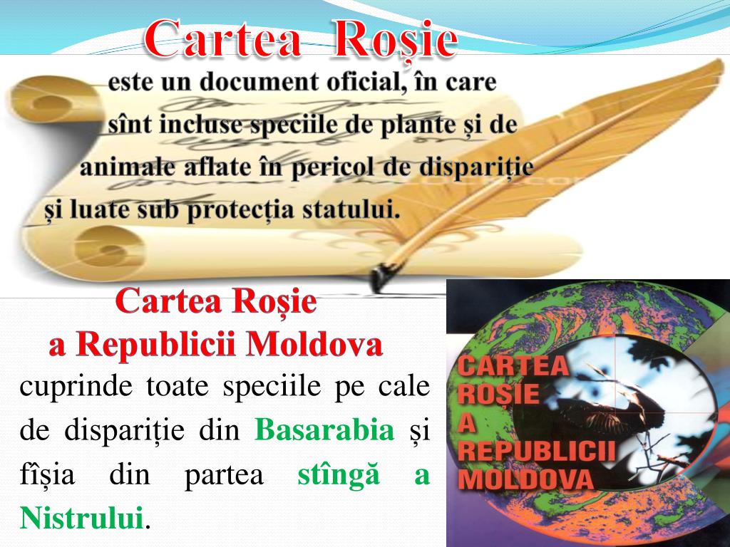 PPT - Cartea ro Șie PowerPoint Presentation, free download - ID:3132413