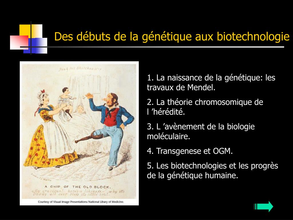 PPT - Des débuts de la génétique aux biotechnologie PowerPoint ...