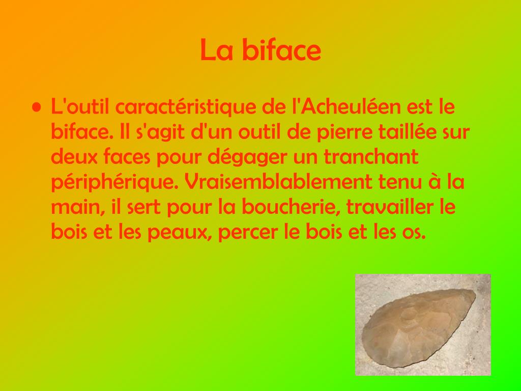 A Quoi Sert Un Faucille En Bois Et Pierre Polie
