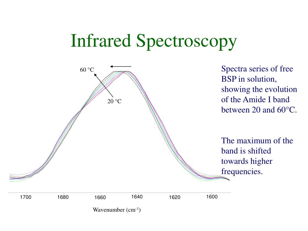 PPT Interactions between bovine seminal plasma proteins and model