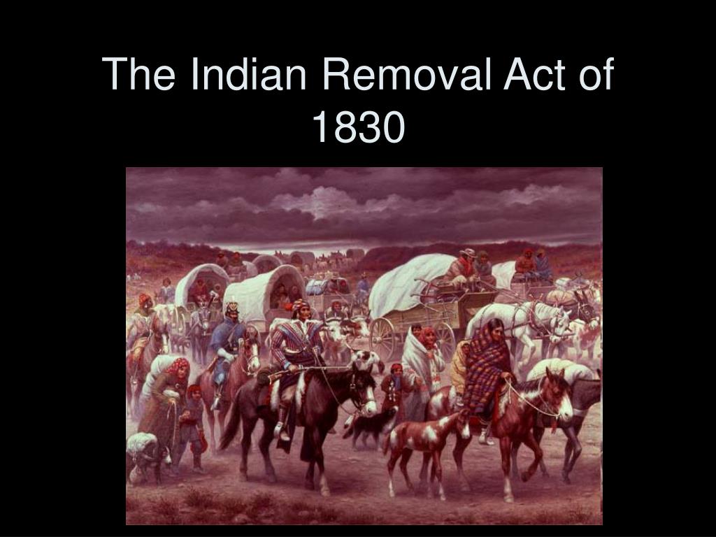 indian removal act essay free