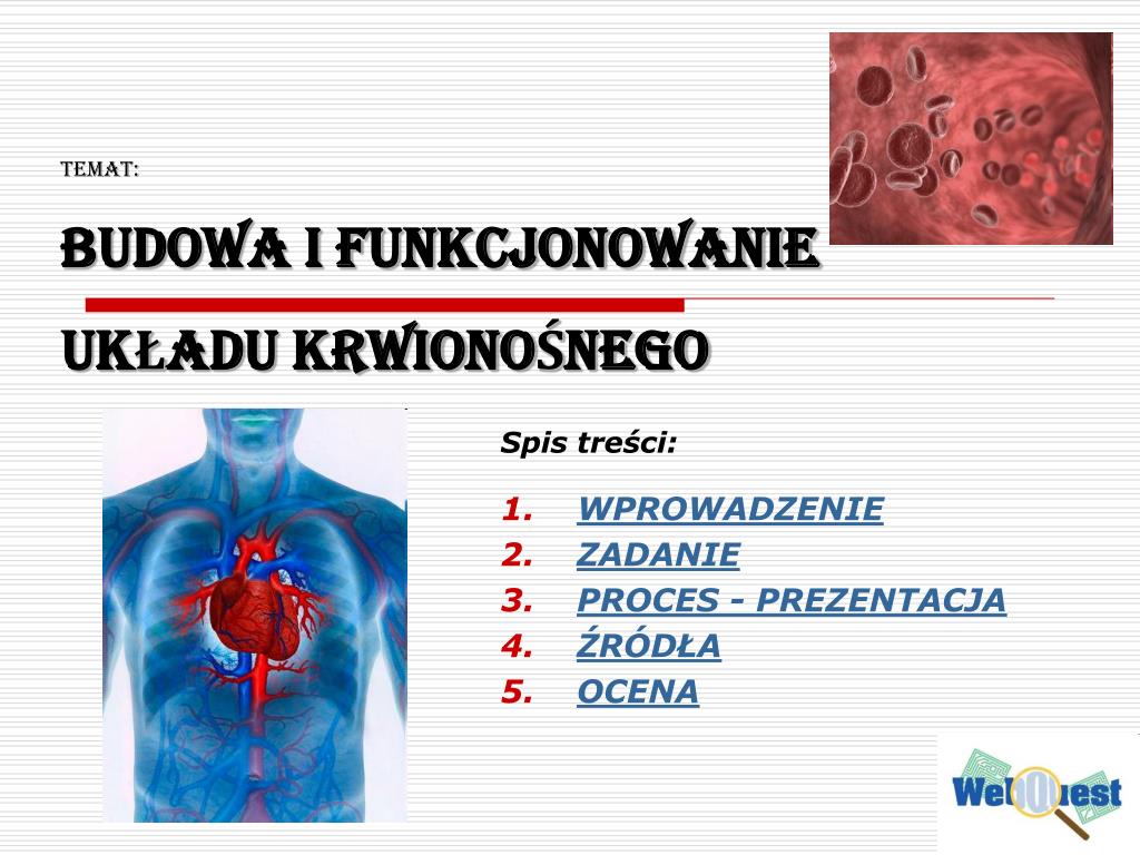Budowa I Funkcje Układu Krwionośnego Notatka PPT - Temat: BUDOWA I FUNKCJONOWANIE UKŁADU KRWIONOŚNEGO PowerPoint