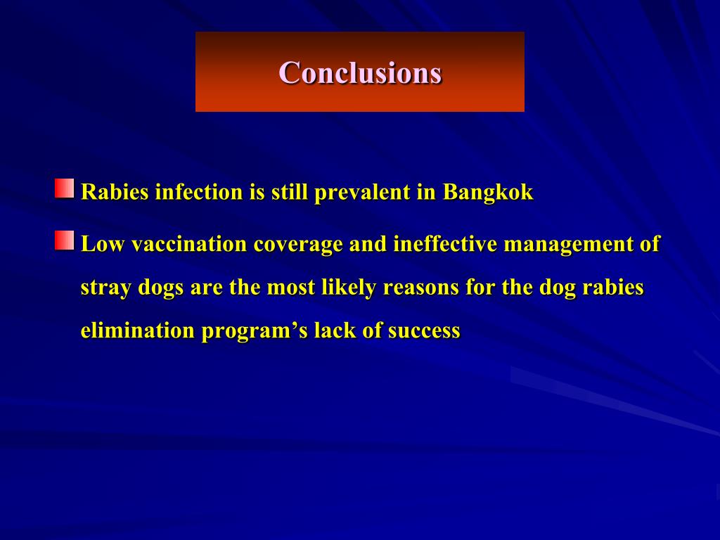 PPT - Stray dogs and rabies in Bangkok, Thailand PowerPoint ...