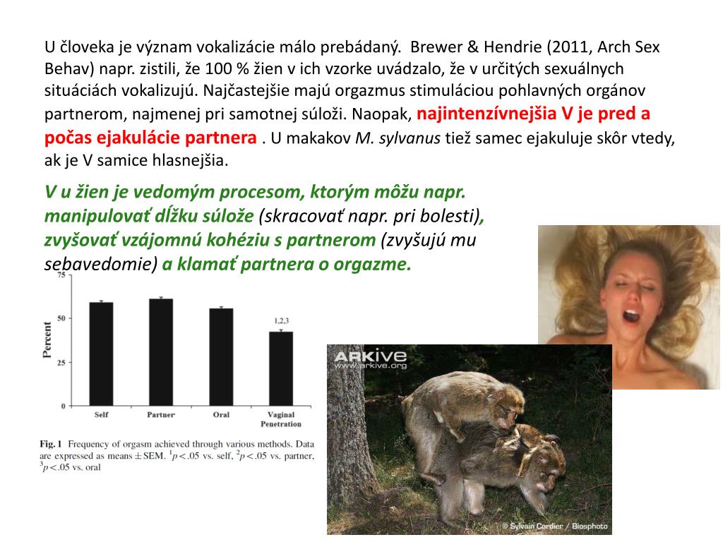 sex s čiernymi mláďatáNajlepšie porno mačička