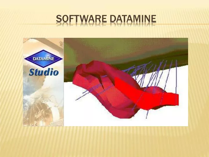 PPT - SOFTWARE DATAMINE PowerPoint Presentation, free download - ID:3134396