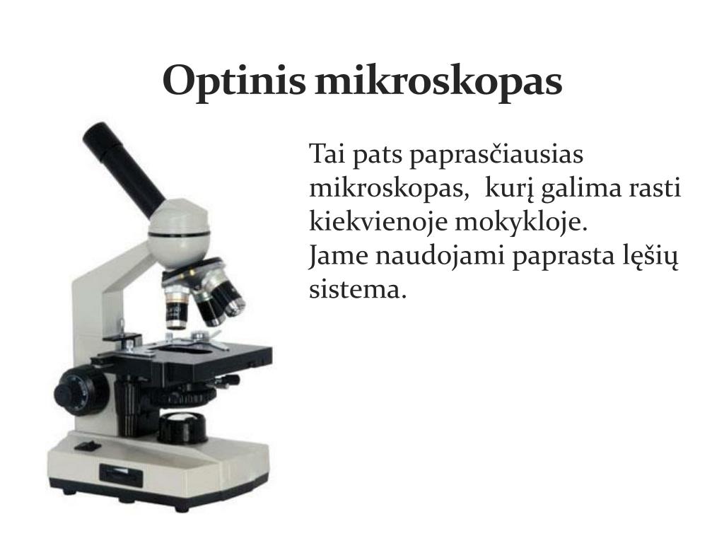 PPT - Mikroskopai PowerPoint Presentation, free download - ID:3135248