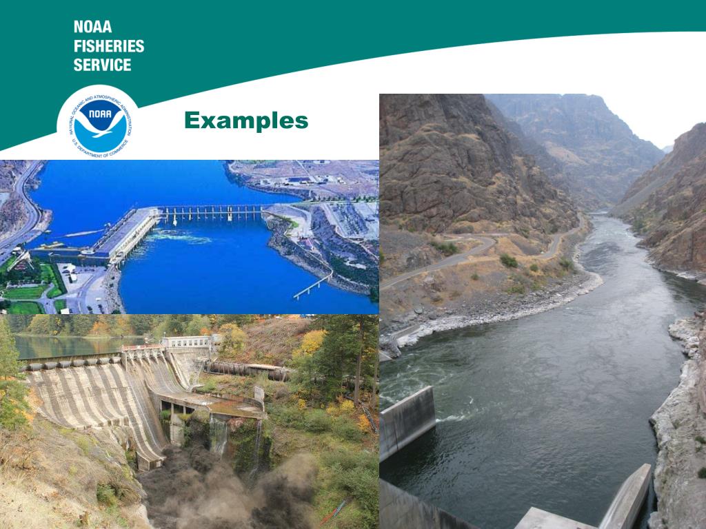 PPT Over 70 Dams in the Columbia River Basin > 20 meters Federal