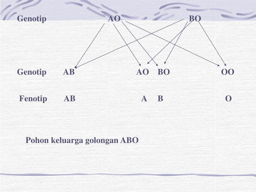 Ab ab генотип. Генотип ab ab ab ab ab ab ab ab. Генотип при ab ab. Fenotip in romana.