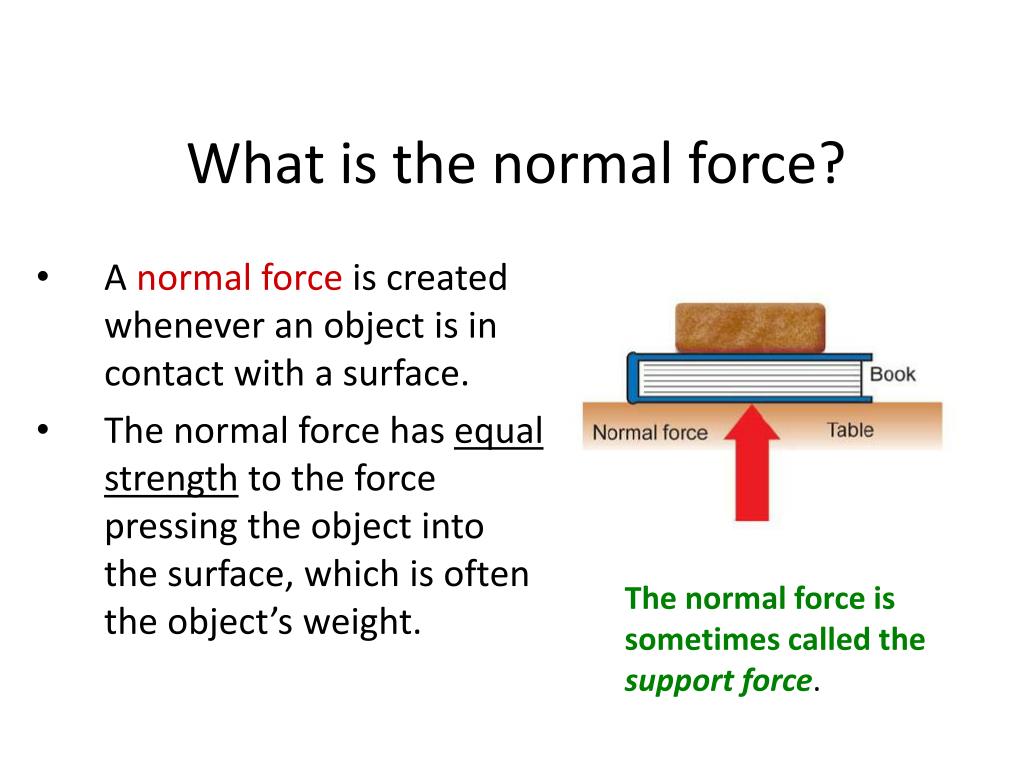 PPT NAME Forces Do Now ppt-name-forces-do-now