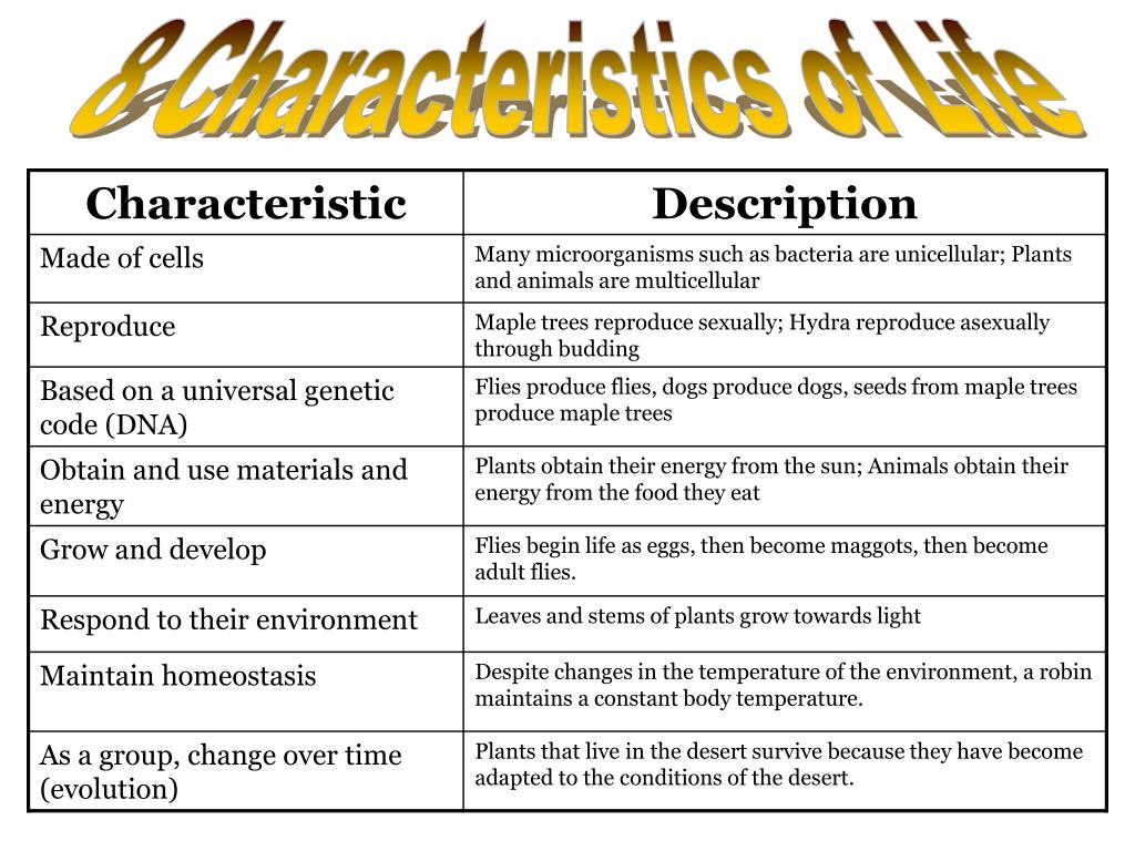 8 Characteristics of Life in Biology