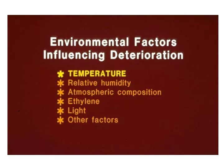 PPT 482 Environmental Causes Of Deterioration Copy 2 PowerPoint causes-of-food-spoilage-animated-clip-with-pictorial-examples-youtube