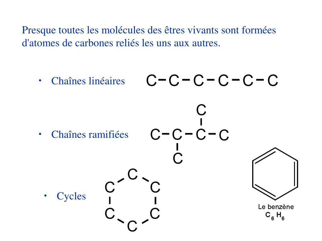 Nombre D'atomes D'azote Dans Une Molécule De Caféine
