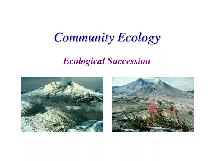 PPT Community Ecology PowerPoint Presentation Free Download ID 3139586   Community Ecology N 