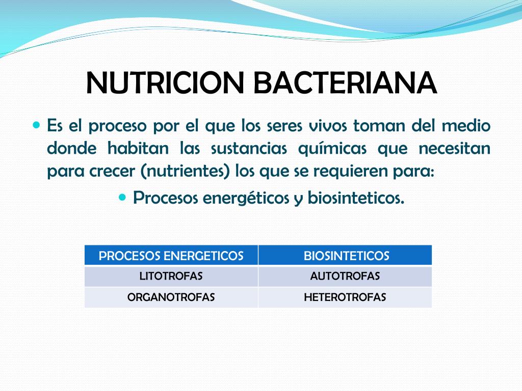 PPT - FISIOLOGIA DE LOS MICROORGANISMOS PowerPoint Presentation, free