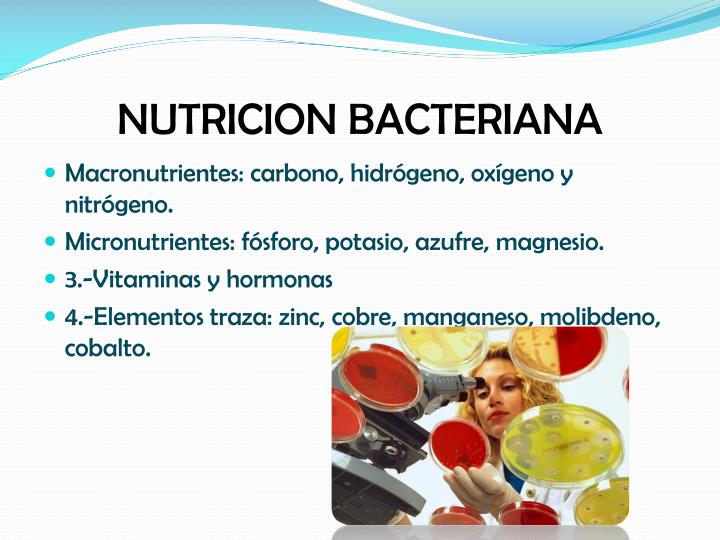 PPT - FISIOLOGIA DE LOS MICROORGANISMOS PowerPoint Presentation - ID