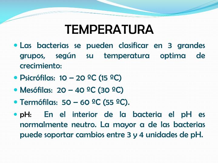 PPT - FISIOLOGIA DE LOS MICROORGANISMOS PowerPoint Presentation - ID
