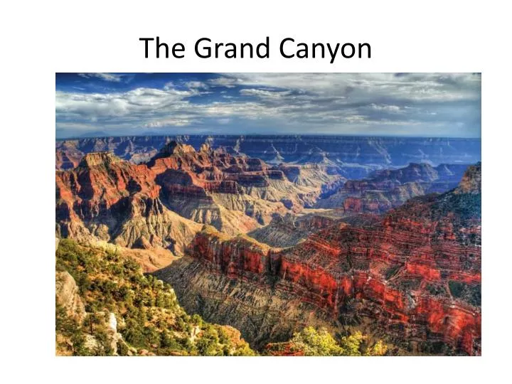 the grand canyon n.