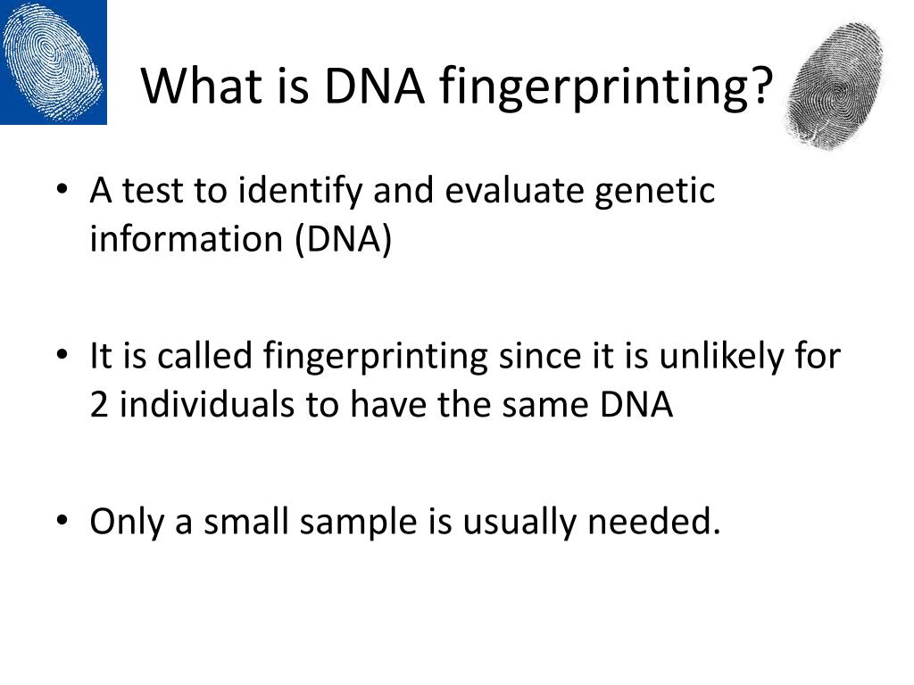dna fingerprinting essay