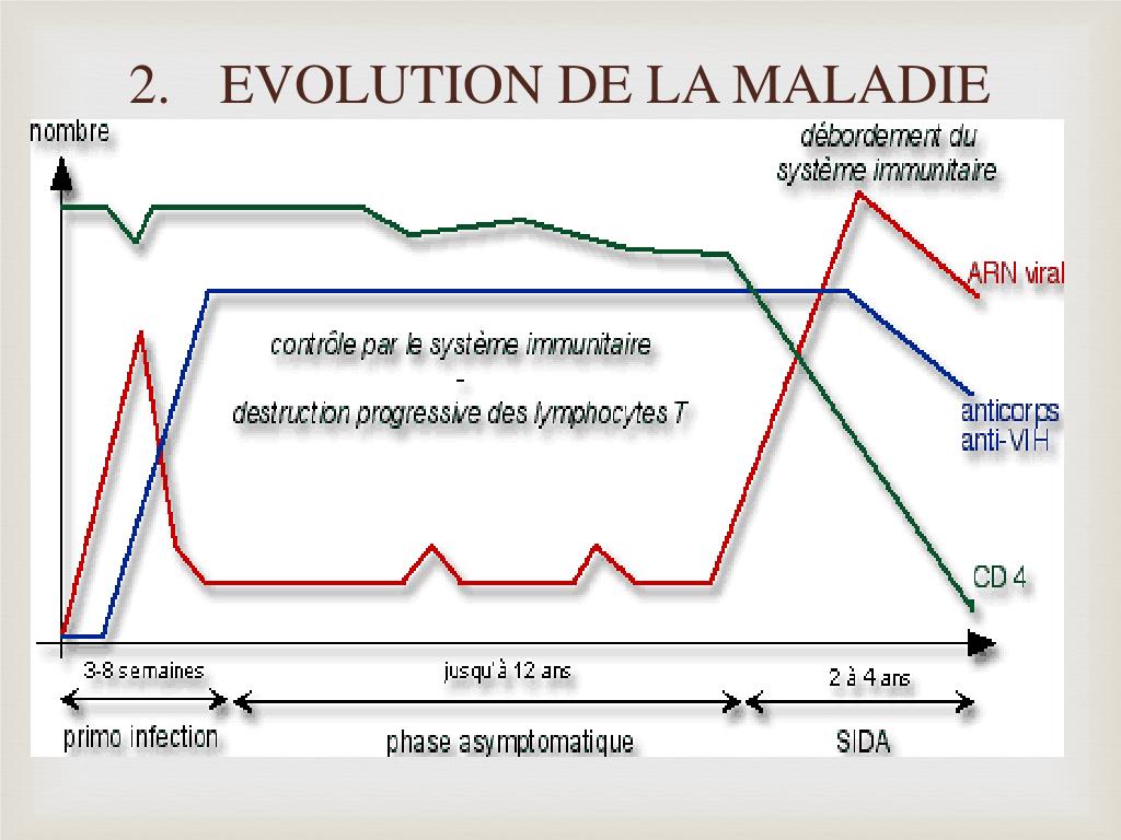 PPT - Virus d’Immunodéficience Humaine PowerPoint Presentation, free ...
