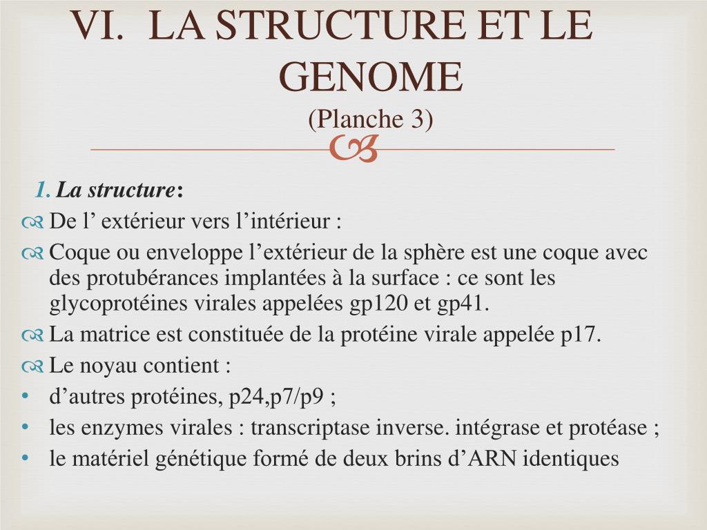 PPT - Virus d’Immunodéficience Humaine PowerPoint Presentation, free ...