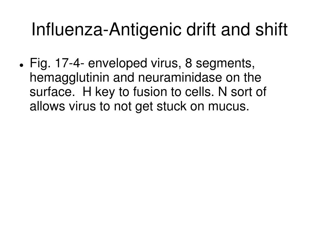 antigenic shift covid 19