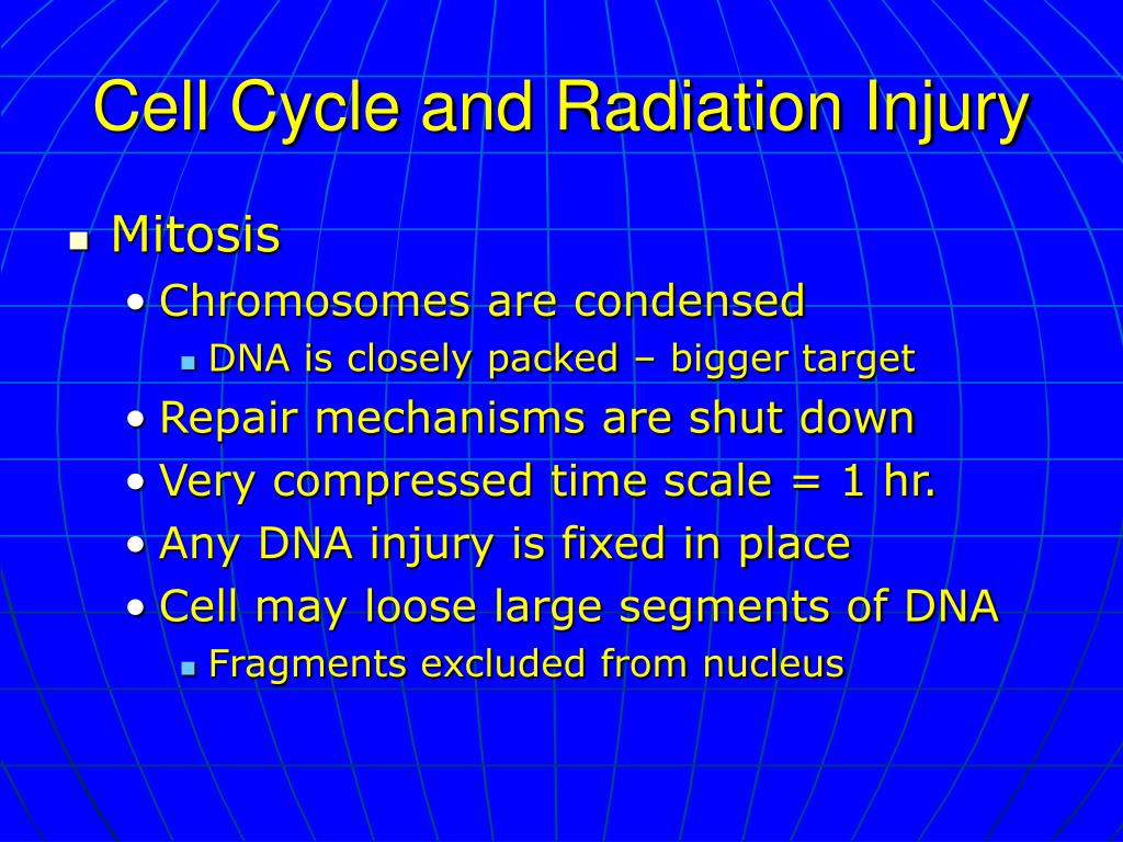The Radiobiology of Radiation Therapy PowerPoint Presentation Biology Diagrams