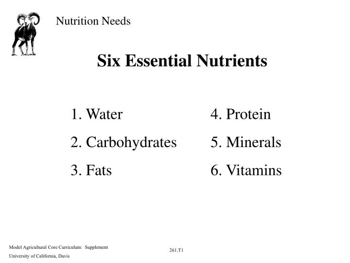 ppt six essential nutrients powerpoint presentation id 6 nutrients