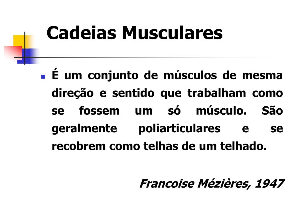 Entenda as cadeias musculares de Madame Mézières