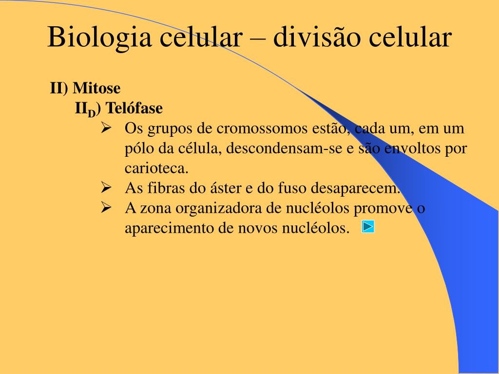 Blog da Bio - Profe Gabriela: 1º ano - DIVISÃO CELULAR - Mitose e Meiose