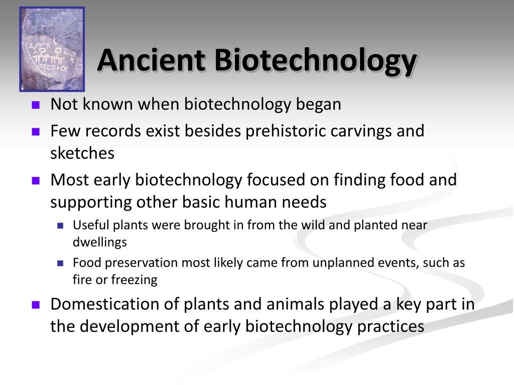 Did Biotechnology Exist Thousands of Years Ago?