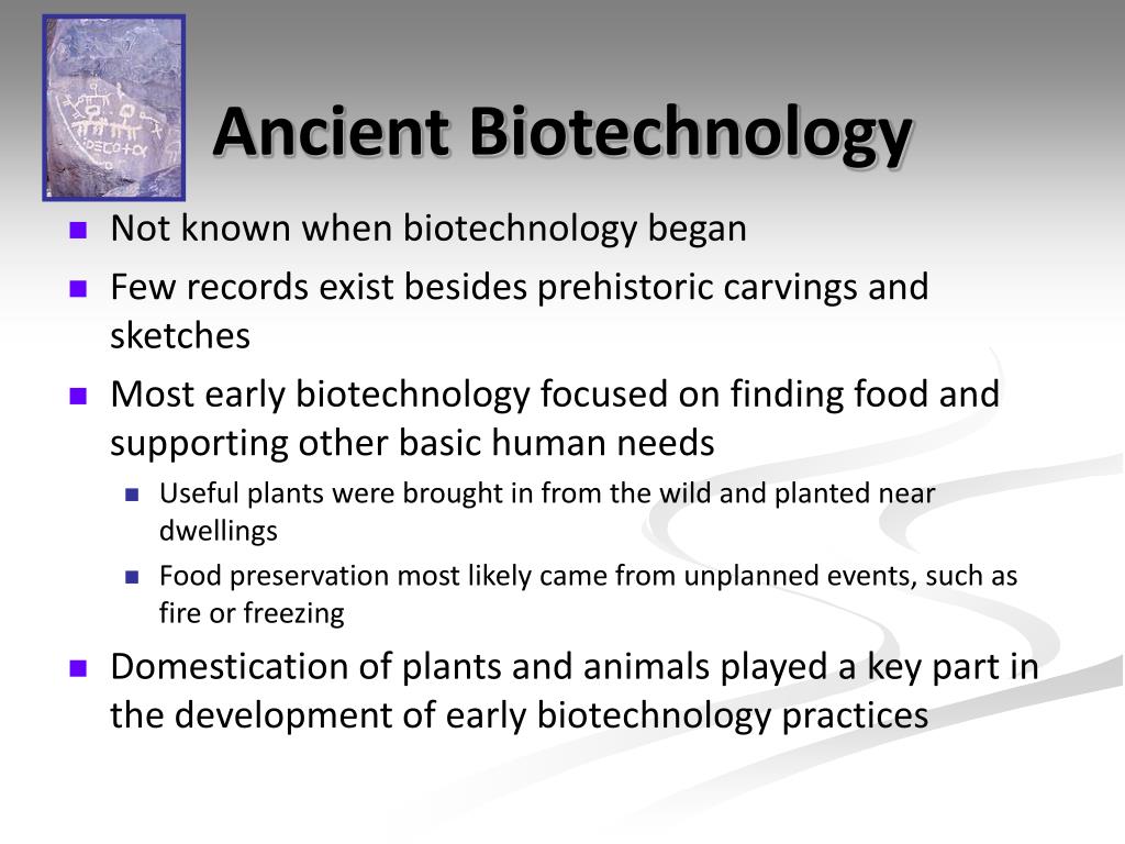 PPT Biotechnology Through the Ages PowerPoint Presentation, free