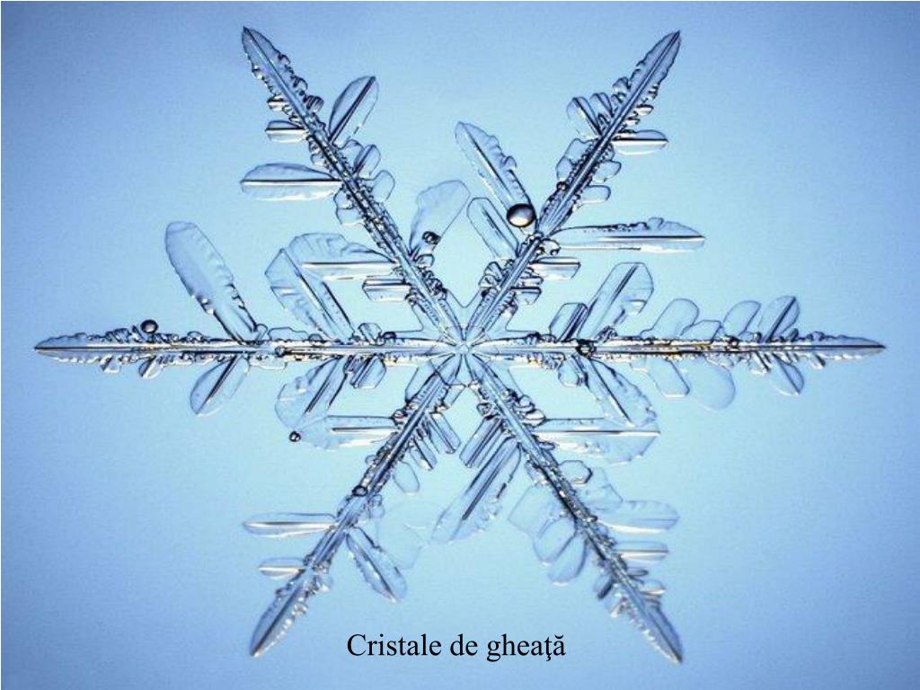 PPT - Cristale de gheaţă PowerPoint Presentation, free download - ID:3144816