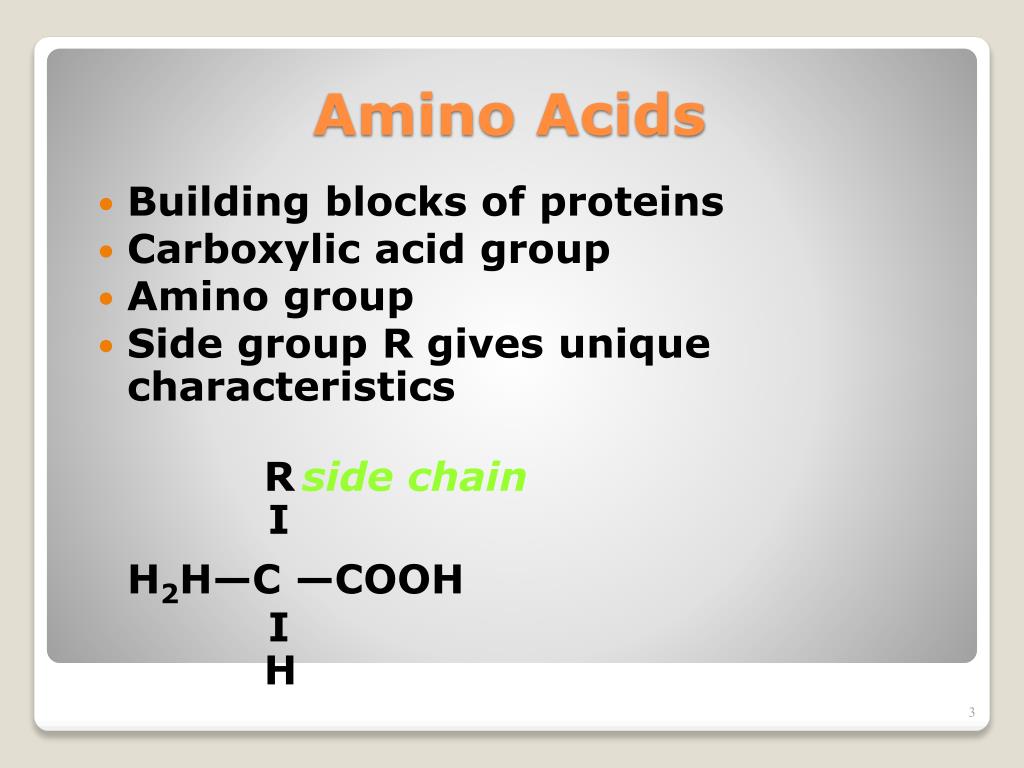 PPT Amino Acids Proteins, and Enzymes PowerPoint Presentation, free