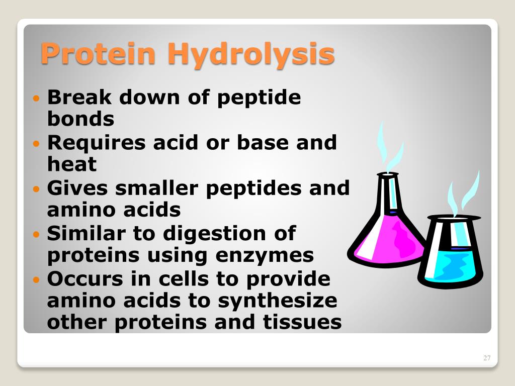 PPT Amino Acids Proteins, and Enzymes PowerPoint Presentation, free download ID3145069
