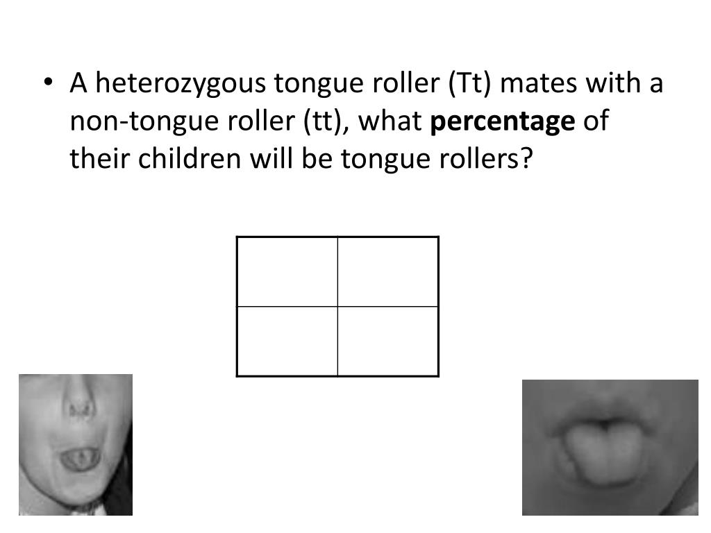 formulate a hypothesis for the frequency of tongue rollers as compared to non rollers